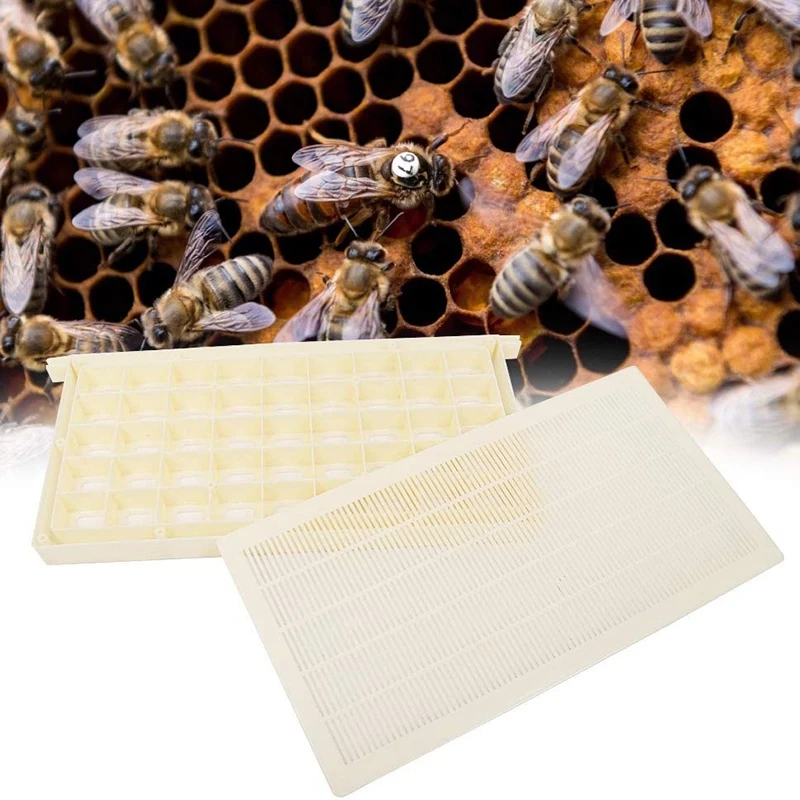 Пластмасова Клетка за Пчелния на Матката Рамка За Отглеждане на Пчелните на Матката Кошер на Пчели-майки Склад Стил Рамка Кралицата за Съхранение и Транспортиране на Пчелите Qeen